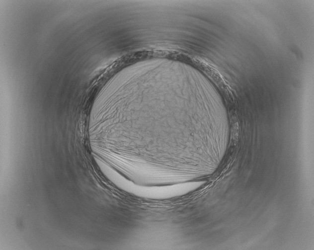 X0000114421110200911271550