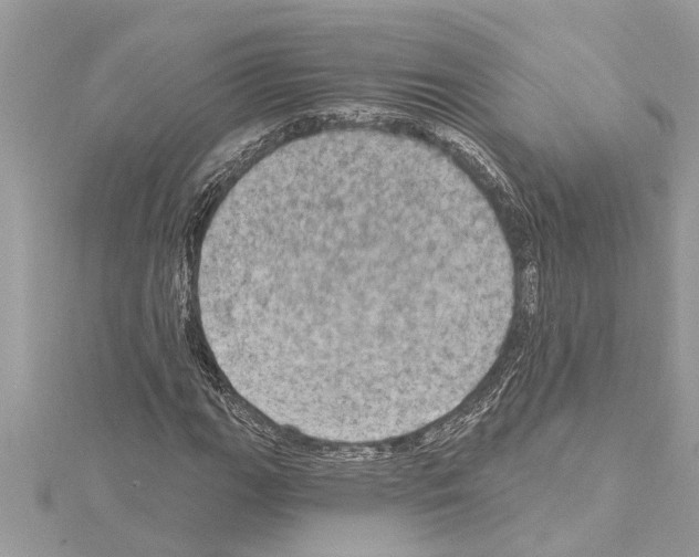 X0000114421111200911271550