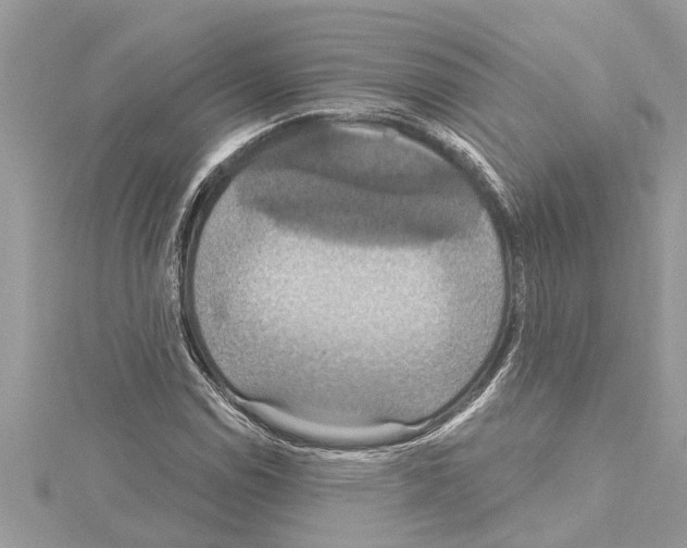 X0000114421114200911271551