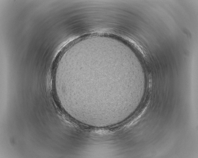 X0000114421117200911271551