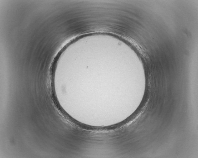 X0000114421118200911271551