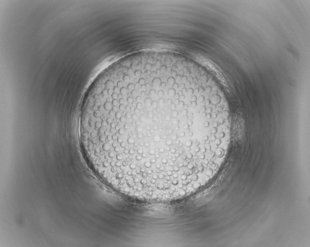 X0000114421130200911271551