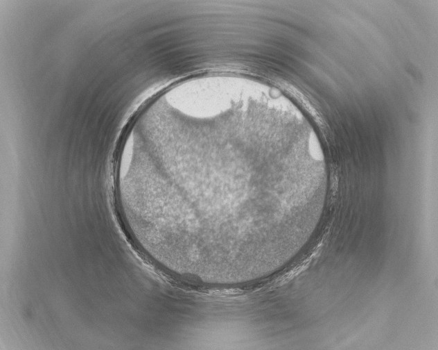 X0000114421133200911271551