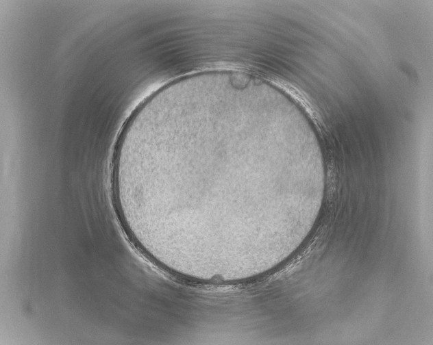 X0000114421135200911271551