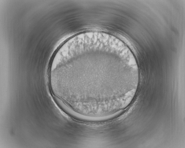 X0000114421141200911271551
