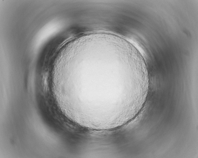 X0000114421150200911271551