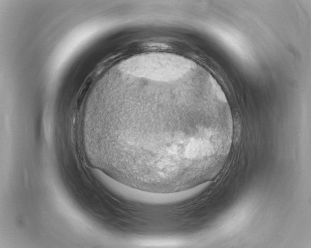 X0000114421151200911271551