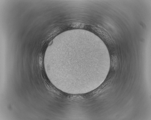 X0000114421154200911271550