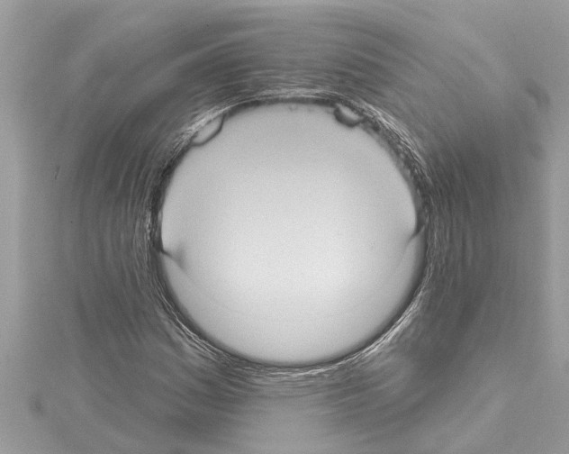 X0000114421161200911271550
