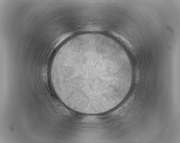 X0000114421162200911271550