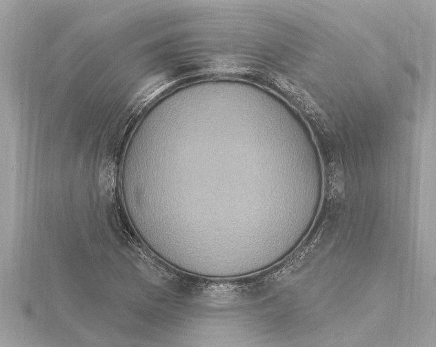 X0000114421169200911271550