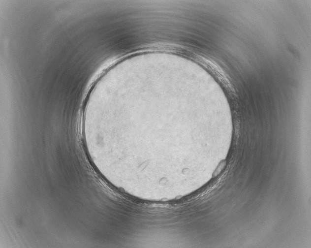 X0000114421180200911271550