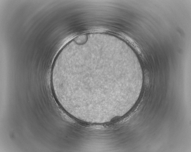 X0000114421186200911271550