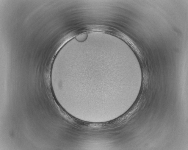 X0000114421194200911271550