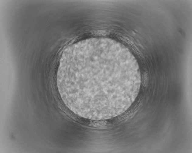 X0000114421201200911271549