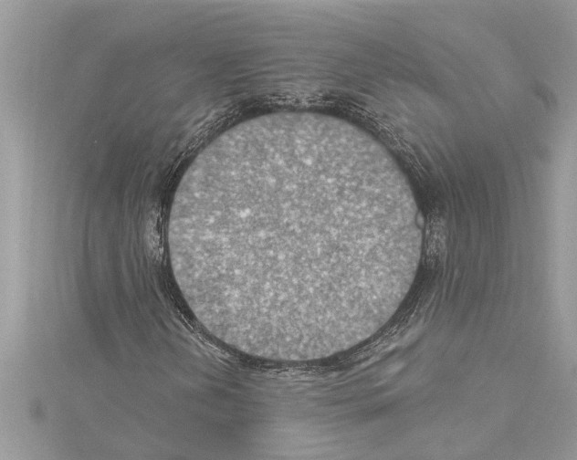 X0000114421202200911271549