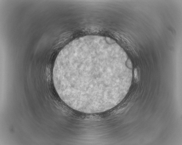 X0000114421203200911271549