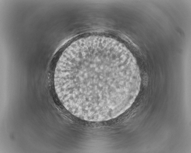 X0000114421208200911271549