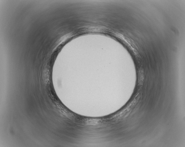 X0000114421211200911271549