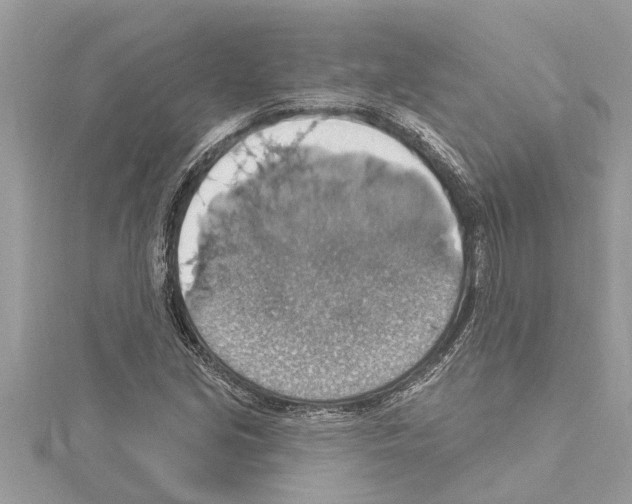 X0000114421213200911271549