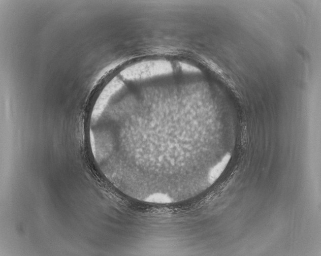 X0000114421214200911271549
