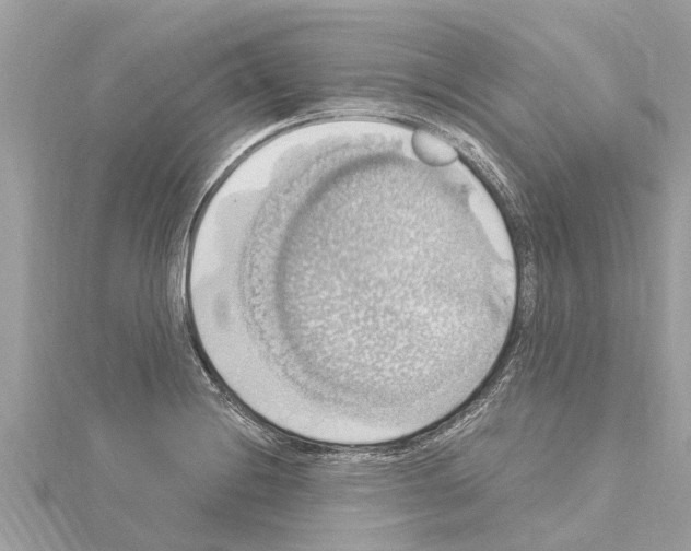 X0000114421228200911271549
