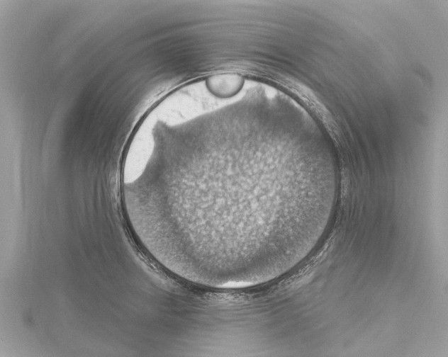 X0000114421234200911271549