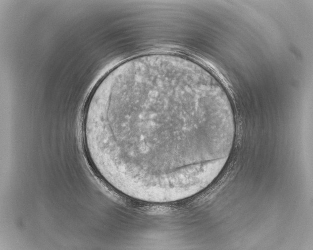 X0000114421235200911271549