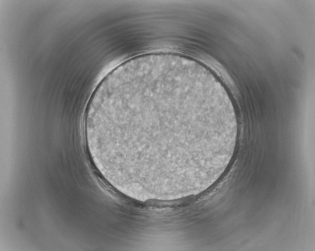 X0000114421242200911271549