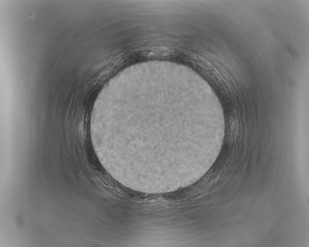X0000114421250200911271549