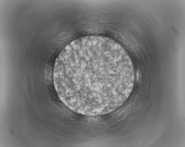 X0000114421251200911271549