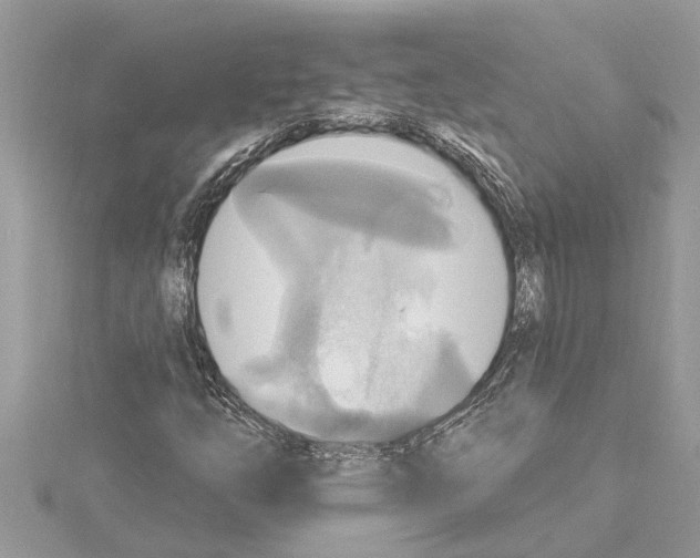 X0000114421254200911271549