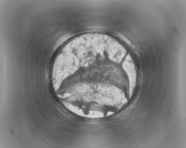 X0000114421259200911271549