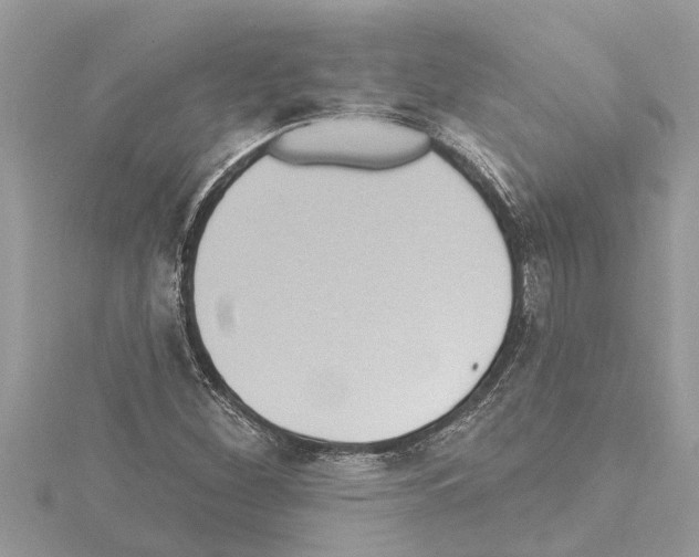 X0000114421260200911271549