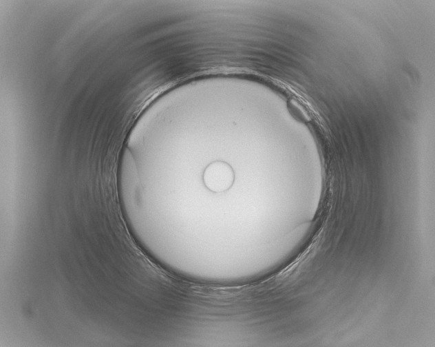 X0000114421273200911271549