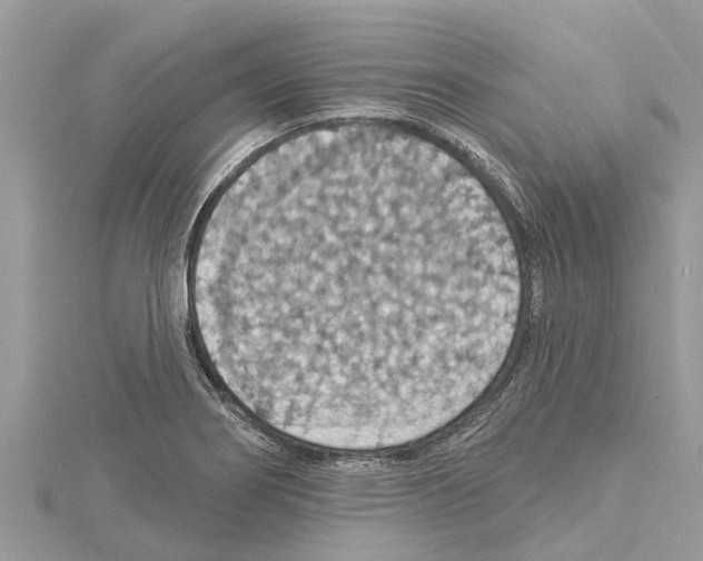 X0000114421274200911271549