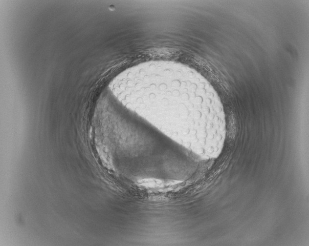X0000114421297200911271548