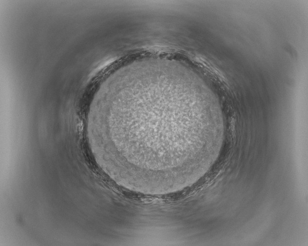 X0000114421302200911271548