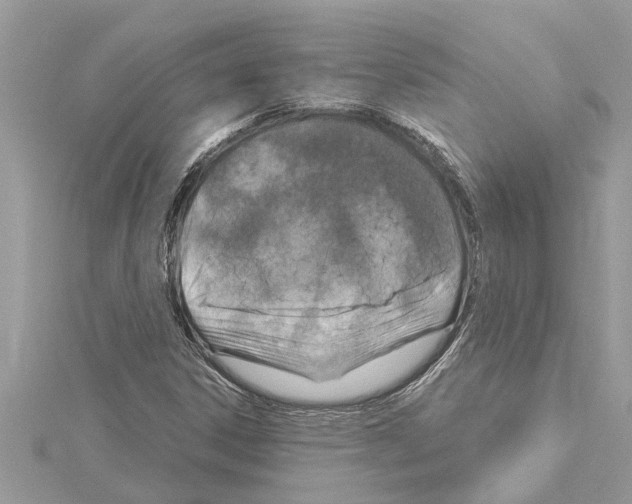 X0000114421306200911271548