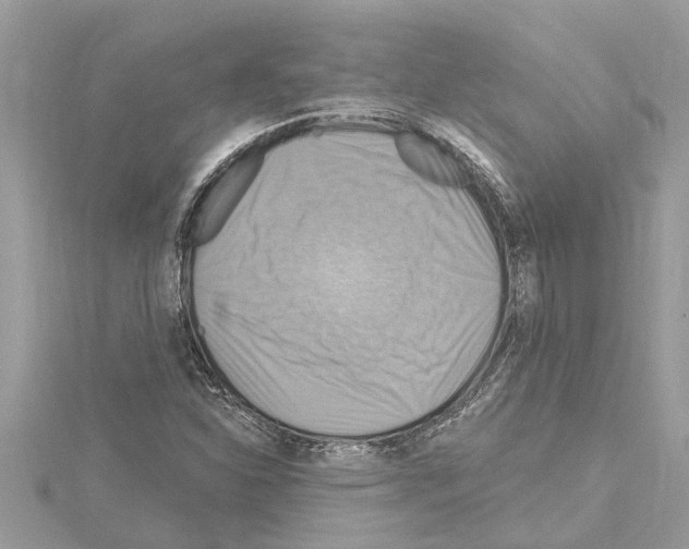 X0000114421310200911271548