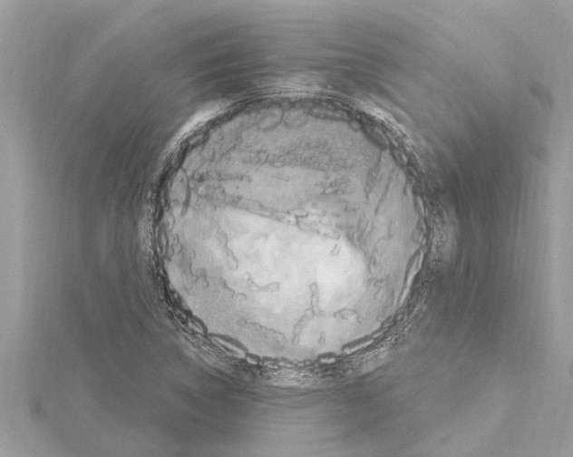 X0000114421314200911271548