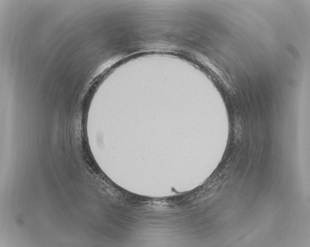 X0000114421315200911271548