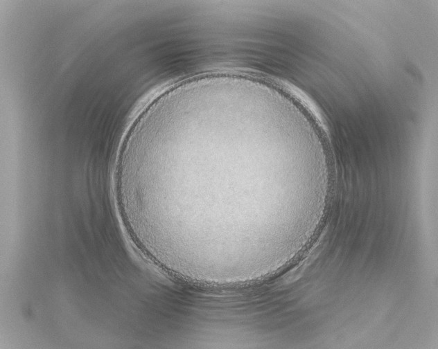 X0000114421338200911271548