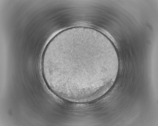 X0000114421339200911271548