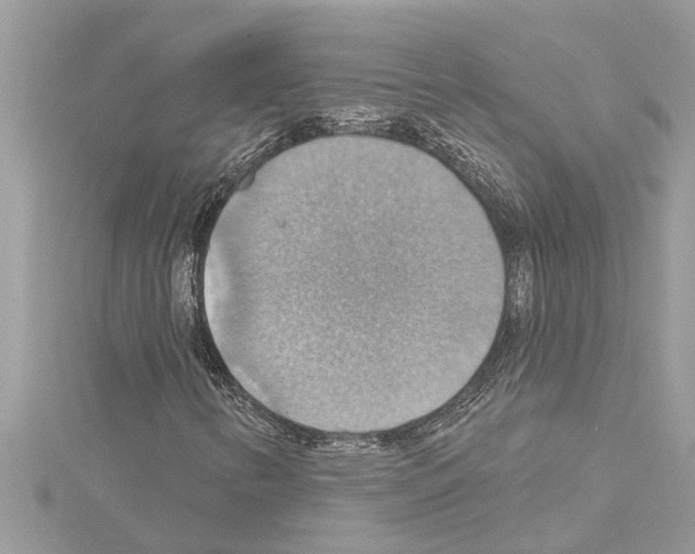 X0000114421346200911271548