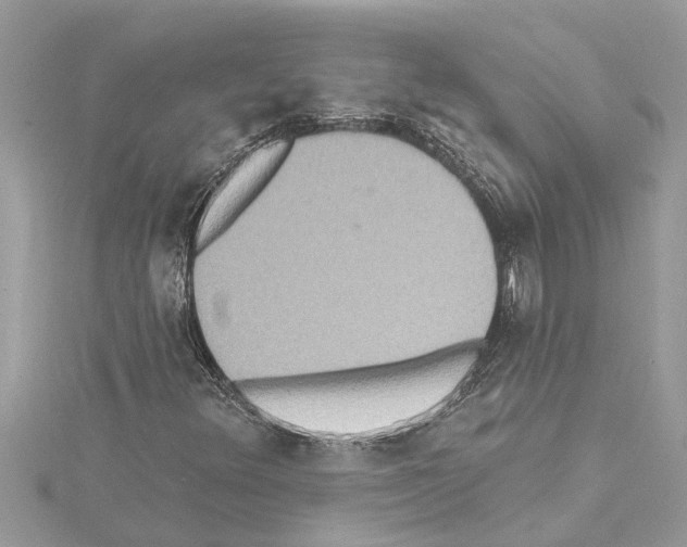 X0000114421348200911271548