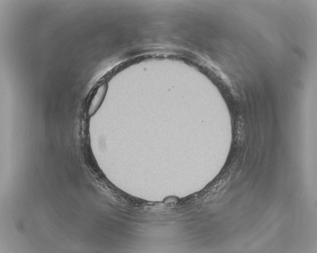 X0000114421352200911271548