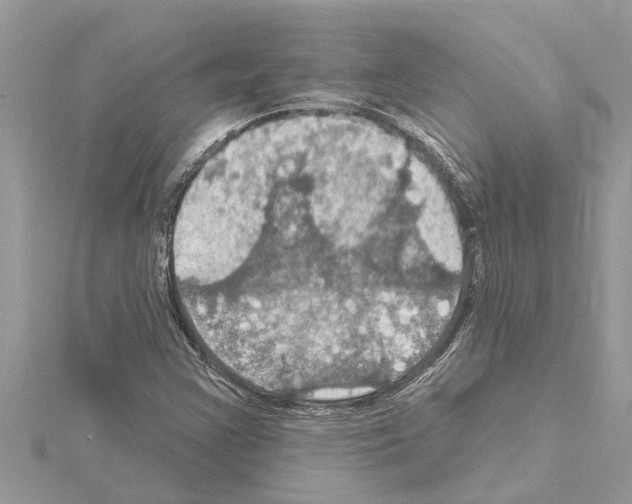 X0000114421355200911271548