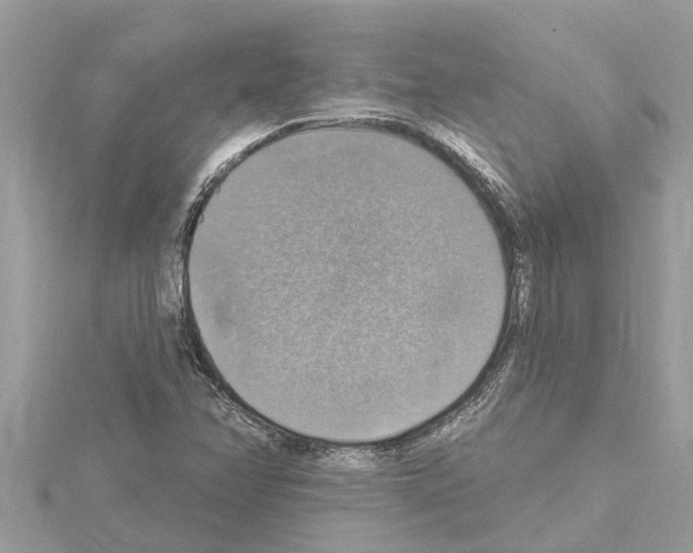 X0000114421358200911271548