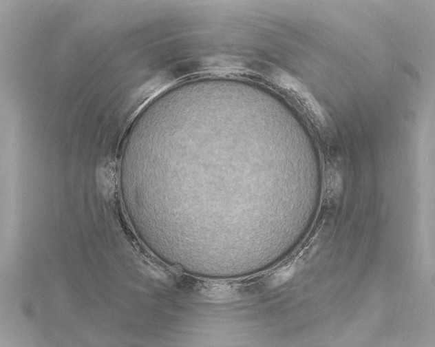 X0000114421361200911271547